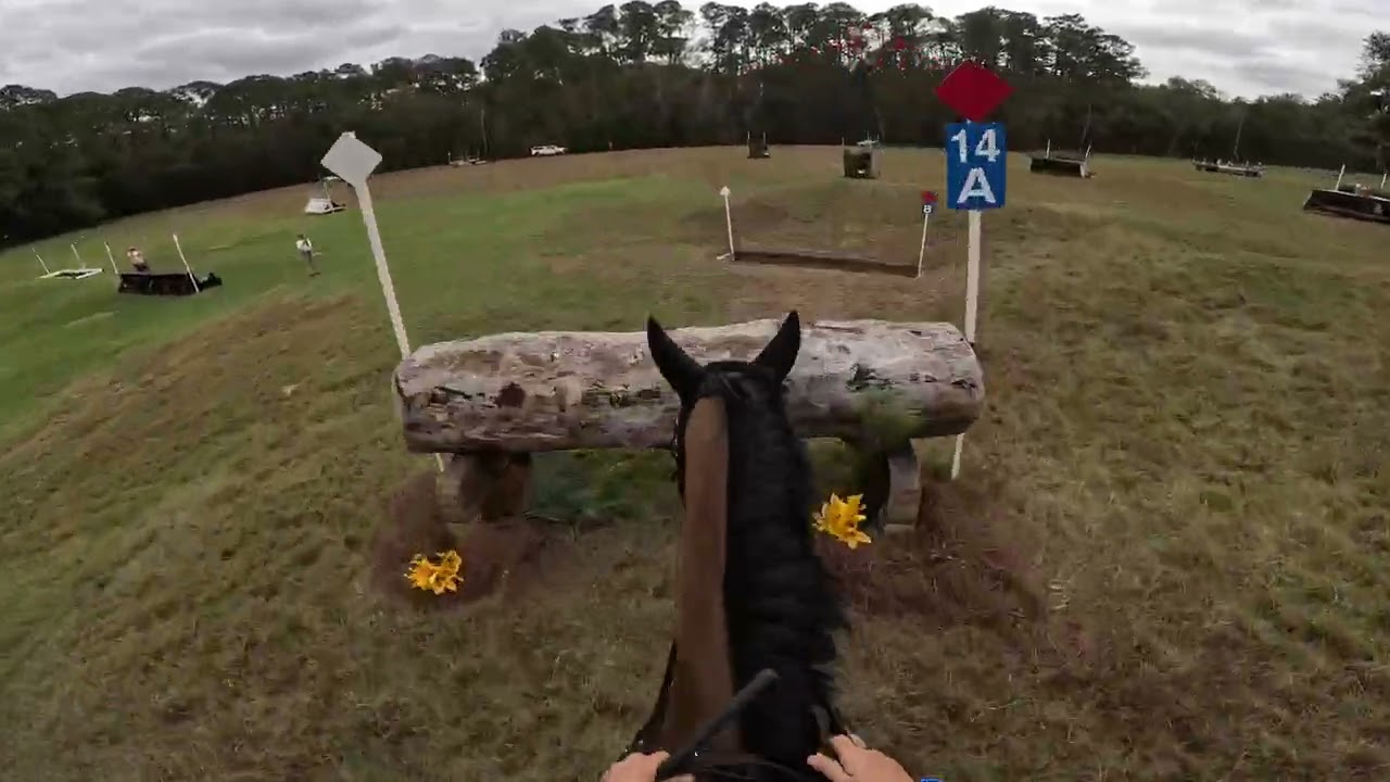 GoPro: Lissavorra Quality (Advanced | 2025 Rocking Horse Winter II Horse Trials)