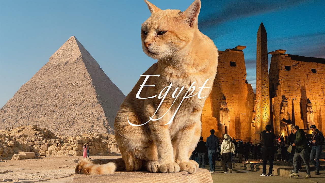 🇪🇬エジプト縦断8日間の旅｜You Only Live Once｜ピラミッド・遺跡巡り・ナイル川クルーズ｜字幕あり