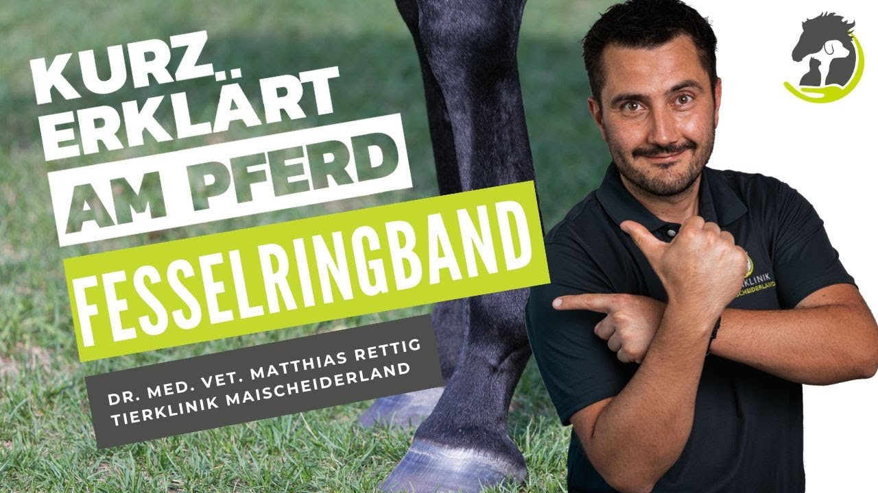 FESSELRINGBAND - Wann es zu Problemen führen kann! Kurz erklärt am Pferd!