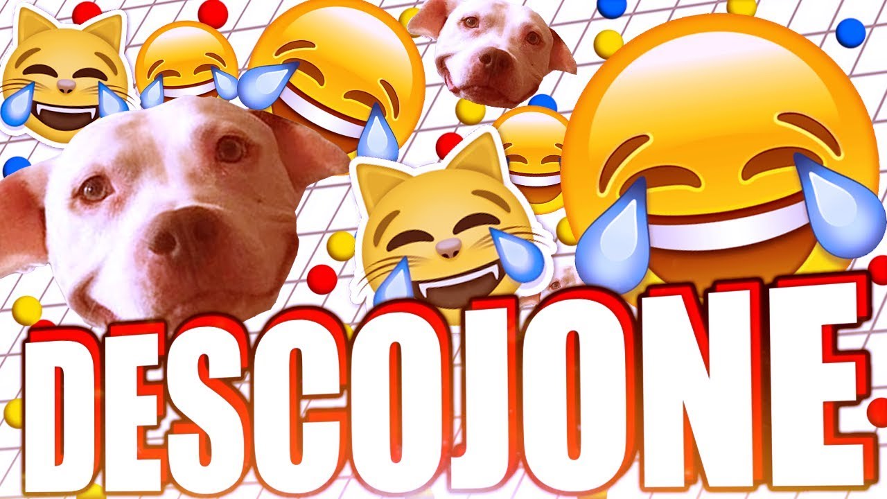 AGAR.IO | EPIQUÍSIMA + TE VEO XDDD