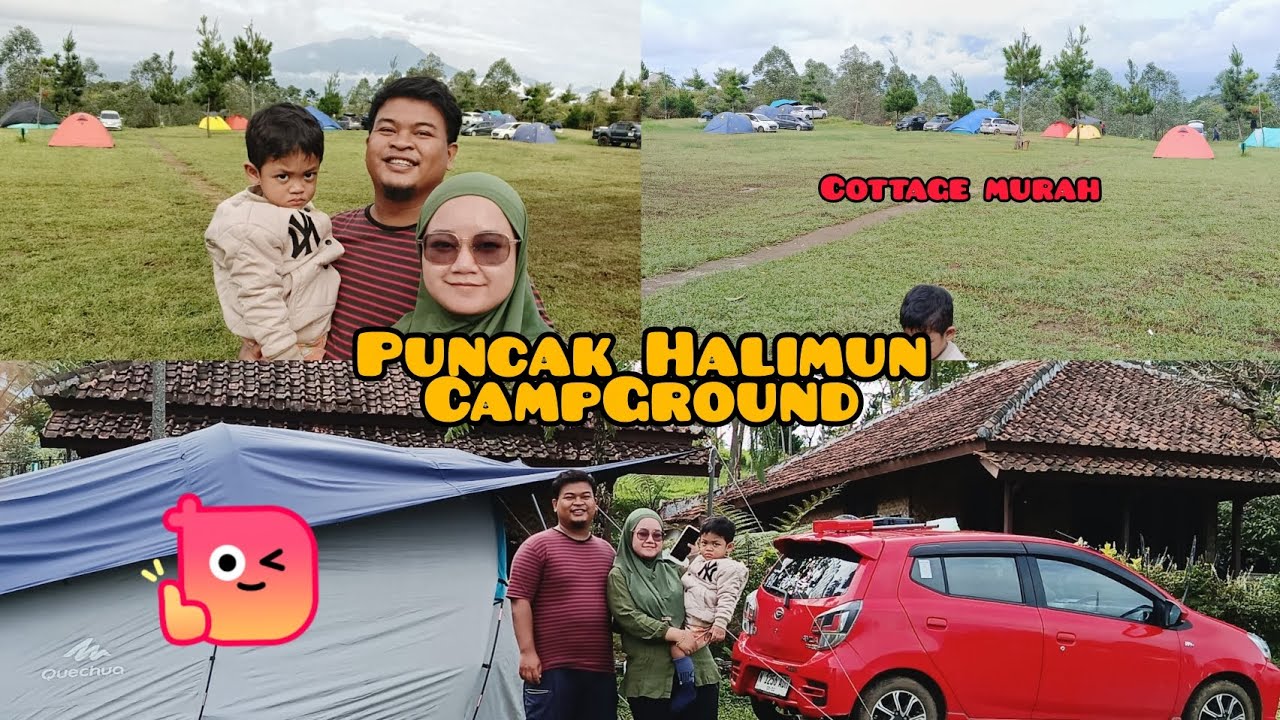 Puncak Halimun Campground #camping #halimunsalak #puncak #liburan #fypシ 