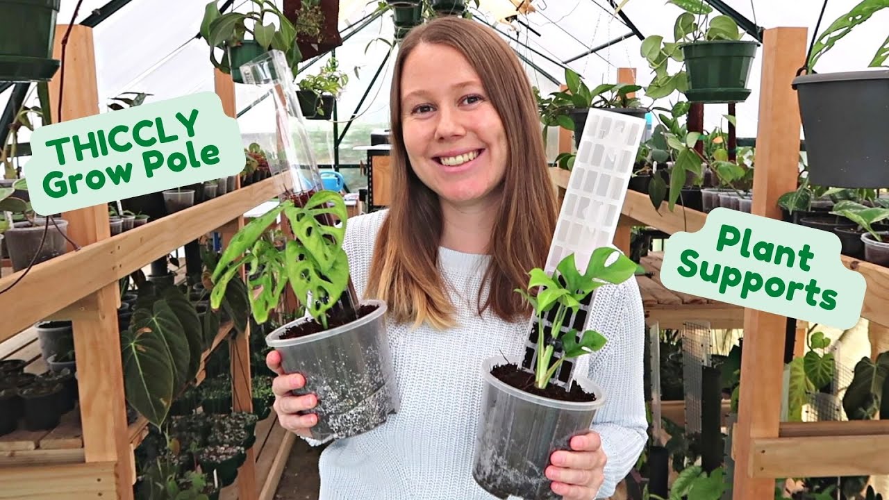 THICCLY Grow Poles 🌱 What Are They? Benefits + How To Use!