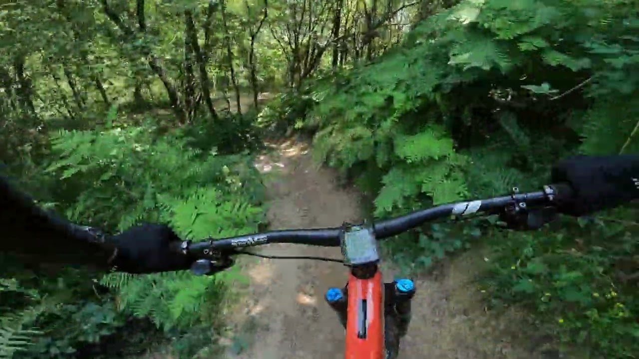 Raw enduro Mtb, El regato - Bilbao