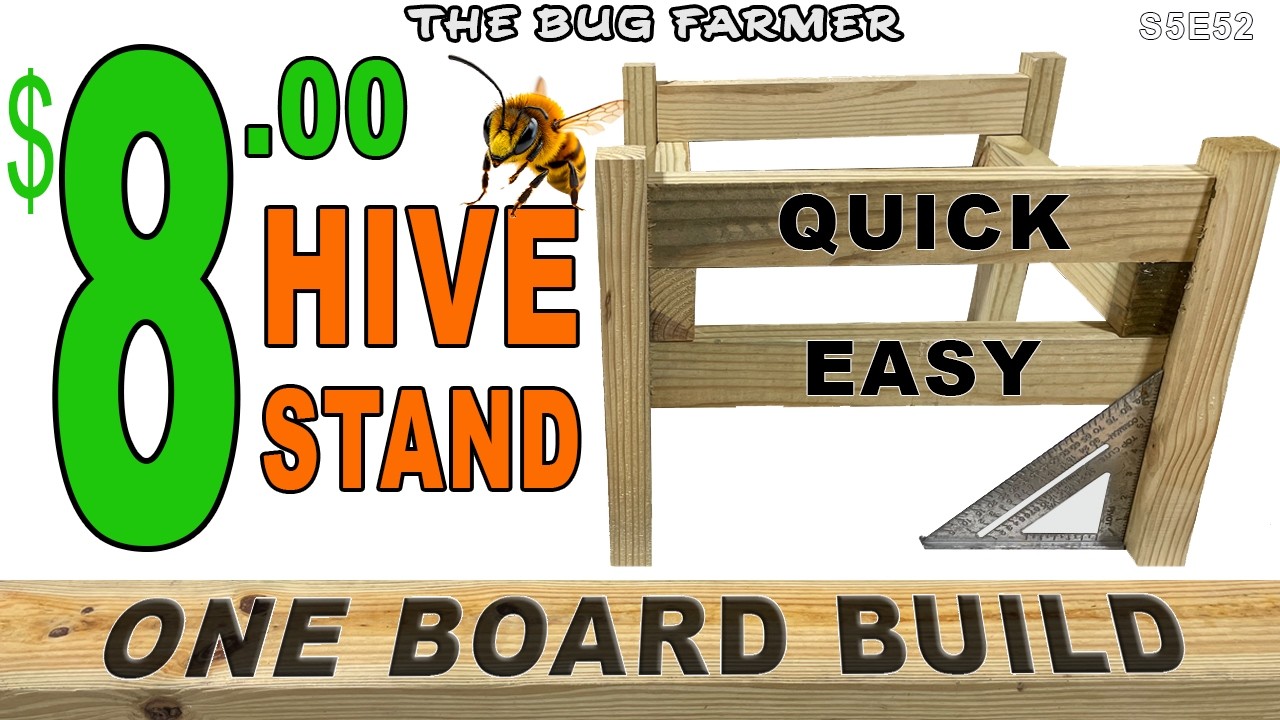 ONE BOARD BUILD.  Quick and Easy $8 Dollar Hive Stand