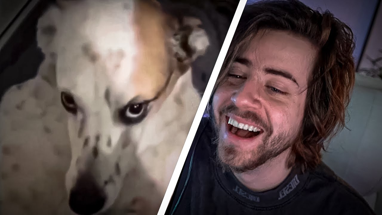 memes do reddit pra ver de madrugada (ou não)