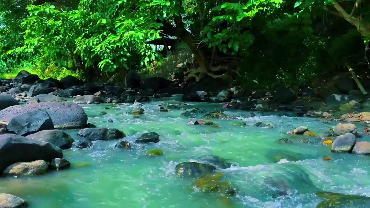 Fall Asleep Fast with Deep River Sound | Healing Forest Night Water for Insomnia