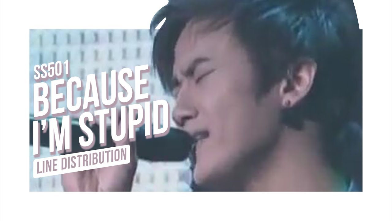 SS501 OT5 - Because I'm Stupid (Line Distribution)