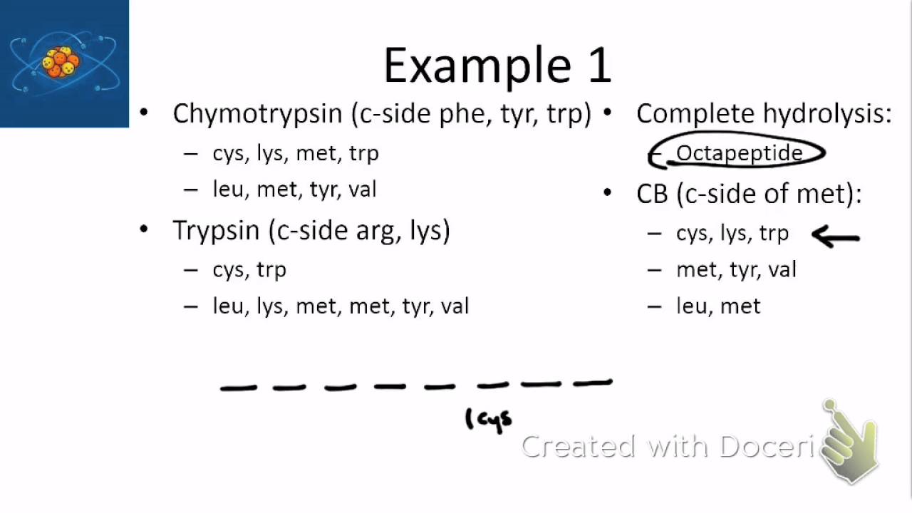 Protein Sequencing Part 1