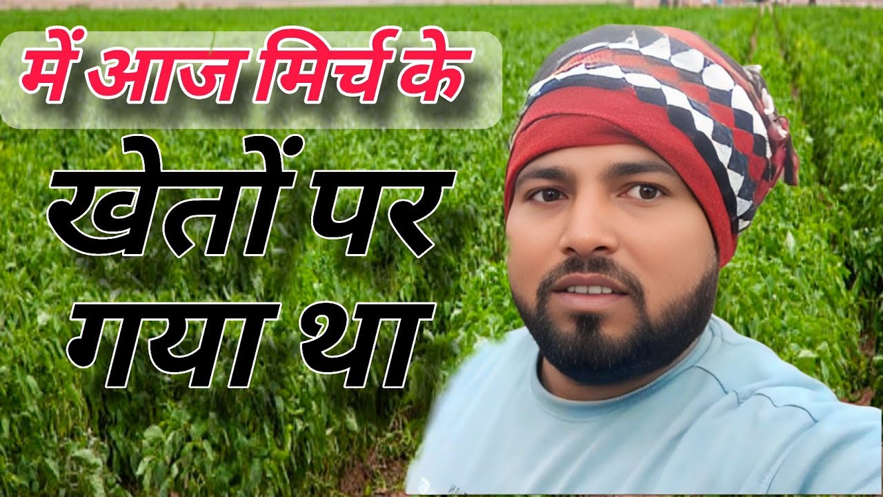 मैं आज मिर्ची के खेतों पर गया था ❤️🙏🙏🙏❤️🙏❤️🤤