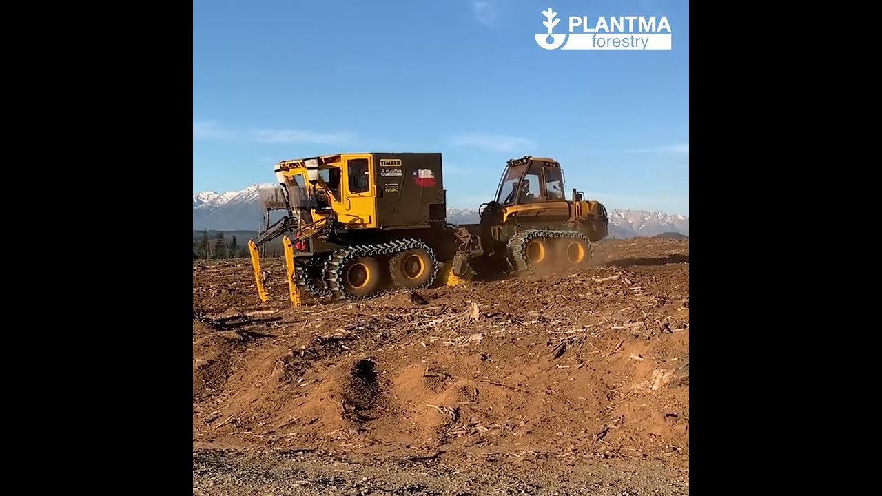 PlantMax Goes Global &ndash; Interview with Plantma Forestry&rsquo;s CEO