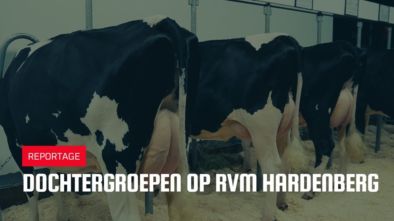 Dochtergroepen op RVM Hardenberg