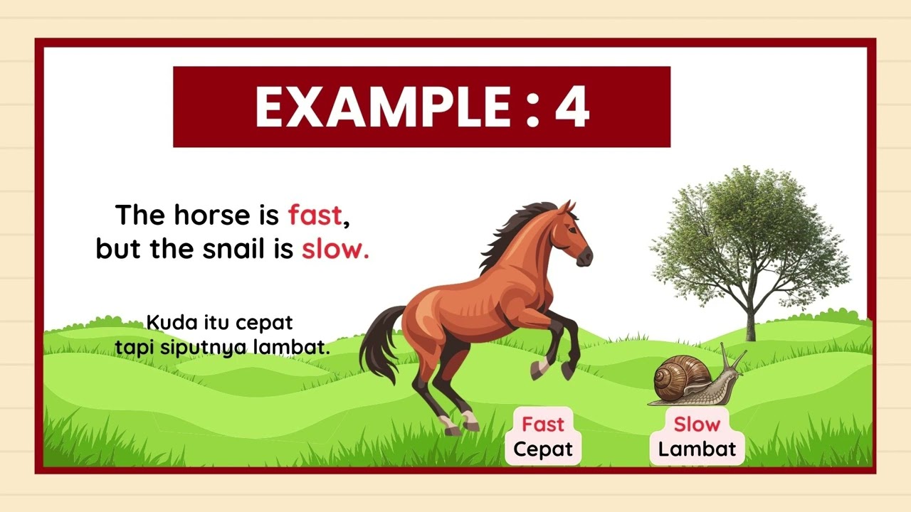 Adjectives - Grade 5