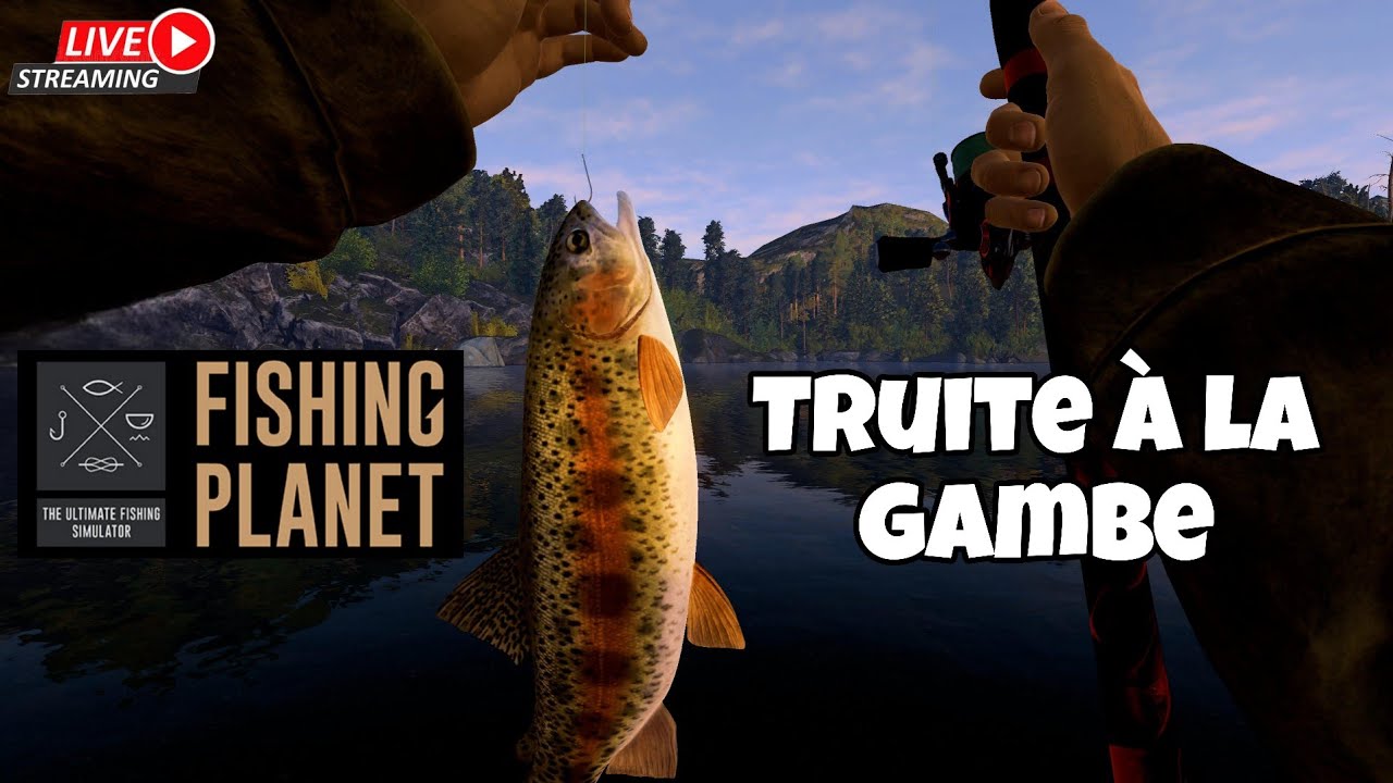 🔴 FISHING PLANÈTE 🇺🇲 Truite à la Gambe Vertical 🇺🇲  Lac FALCON