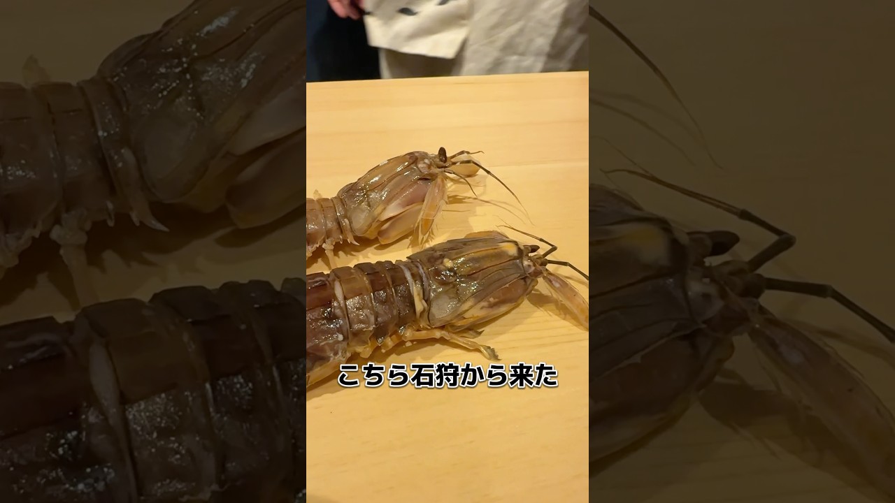北海道 石狩のシャコ！いただきます！11/19投稿 #料理 #捌き方 #寿司 #捌き #shorts #せり人ムタロー