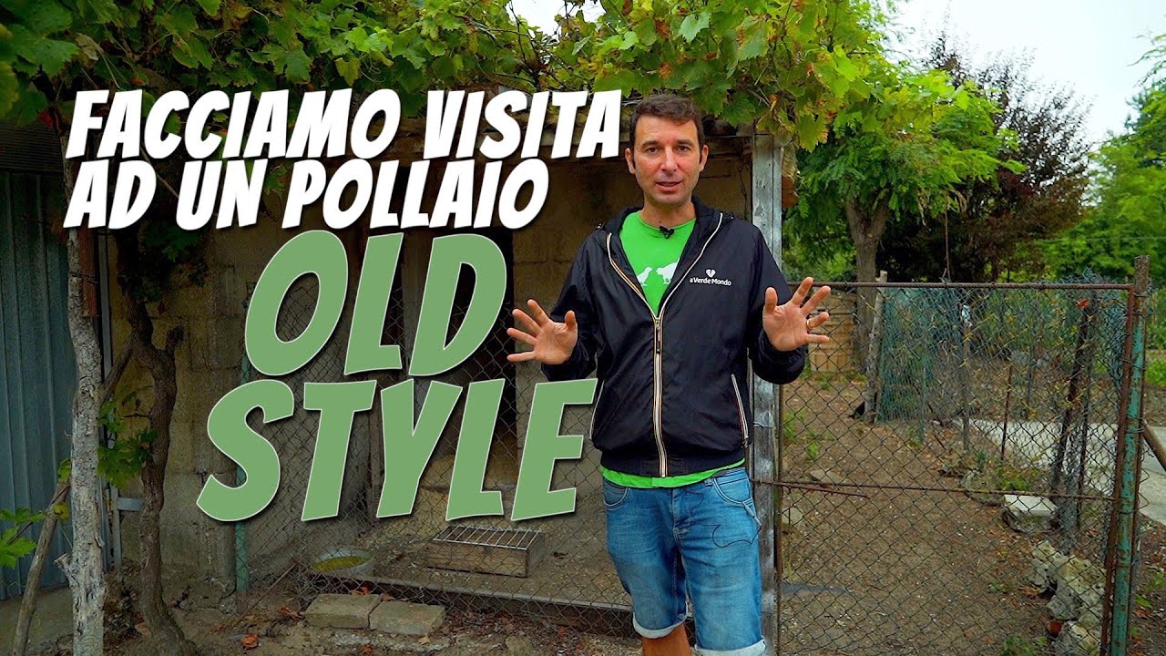 POLLAIO OLD STYLE - Alla scoperta di un pollaio in muratura
