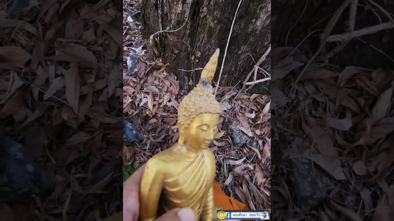 กวาดใบไม้อยู่ข้างวัดเจอพระพุทธรูปที่ถูกนำมาทิ้งไว้ที่โคนต้นไม้