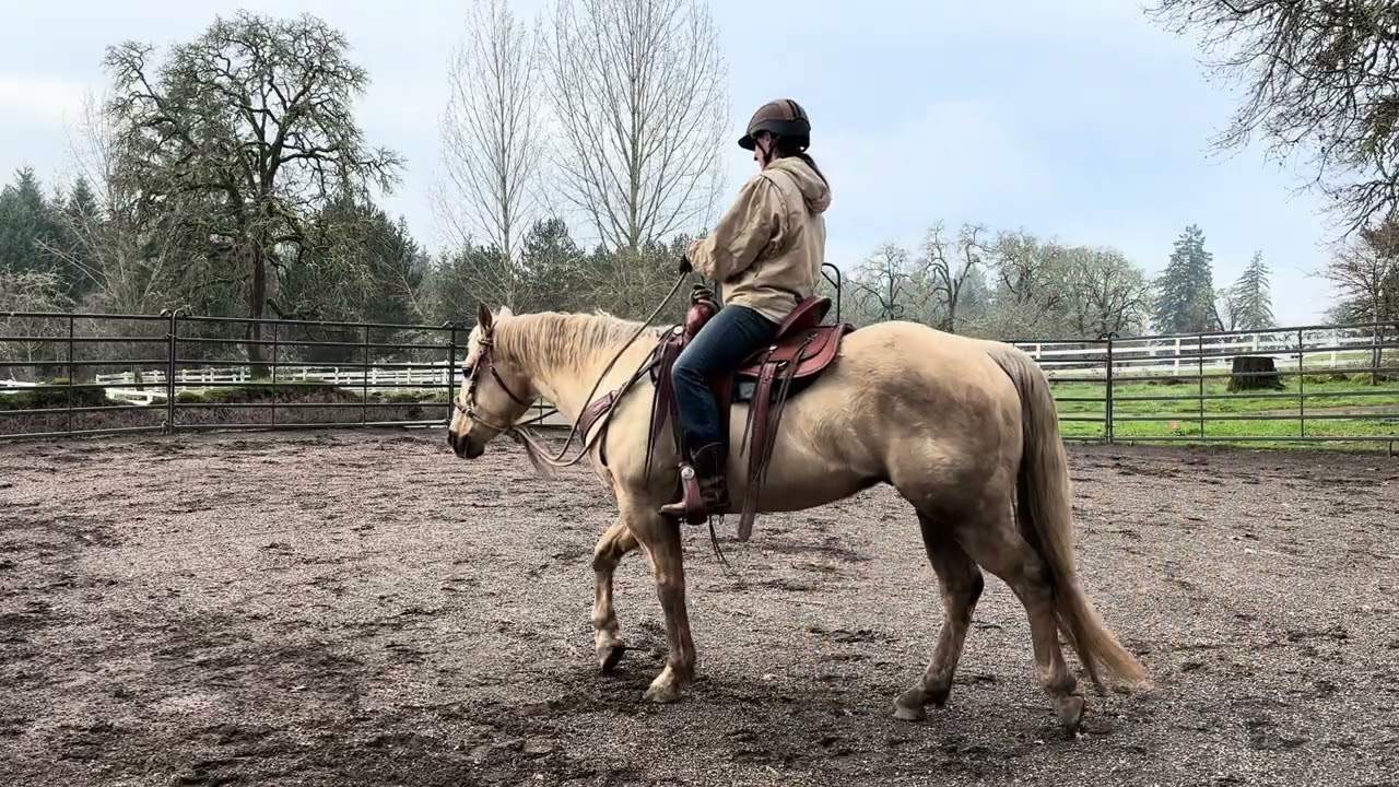 Marisa’s first ride on Drifter full video 1/10/26