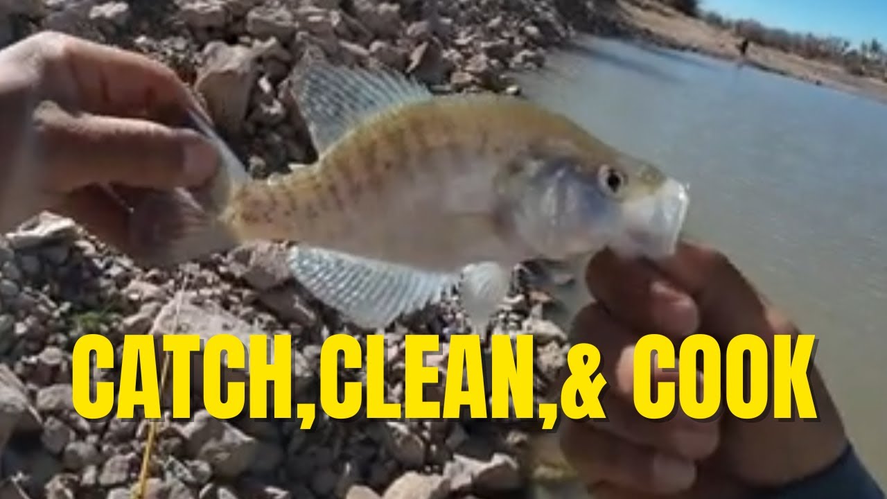 Catch and Cook CHALLENGE 2024's Freshest Catch at Caballo Lake