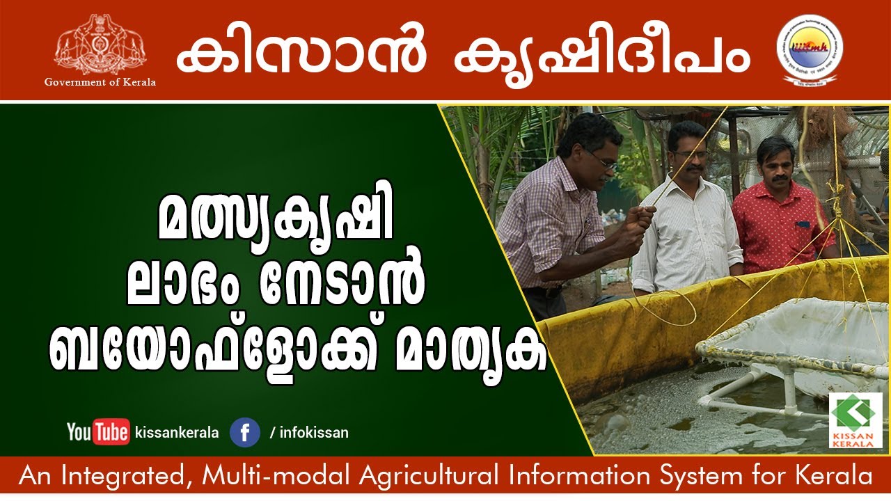 The profitable biofloc fish farming