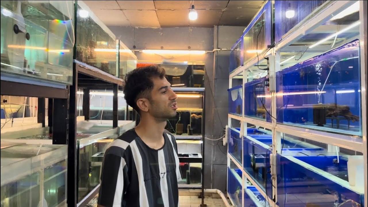 Gaziantep Akkent hobihanesi balık evini ziyaret ettim.