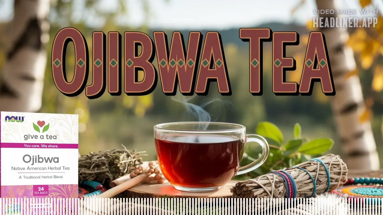 Ojibwa Tea | History, Benefits & More