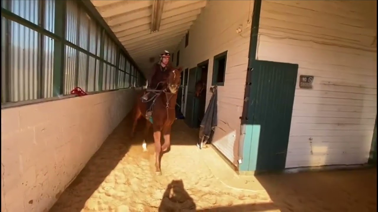 Newly broken 2 yo's Divine Swagger and Johnjackjimjaye shedrow on 2/16.