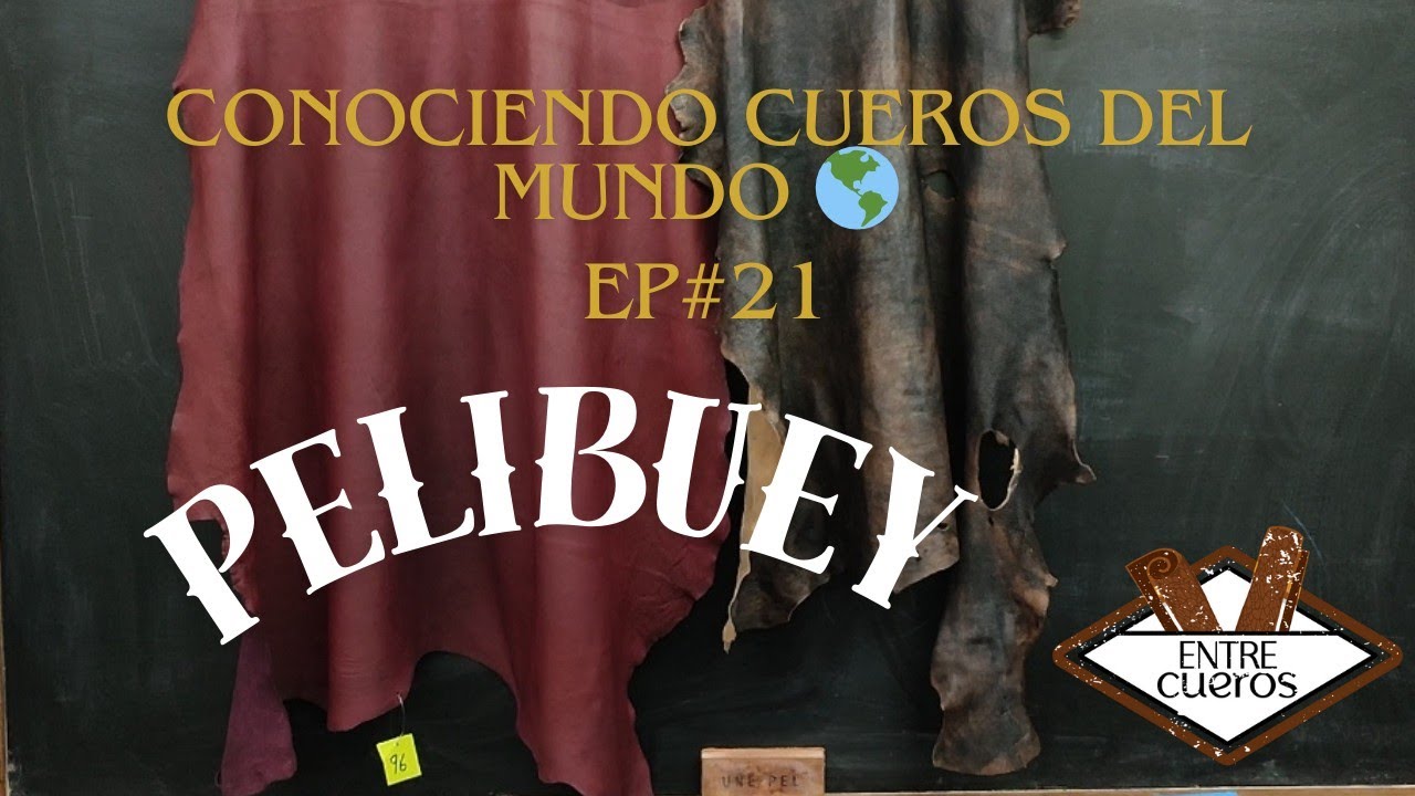 Conociendo cueros del mundo Ep. 21:  El pelibuey