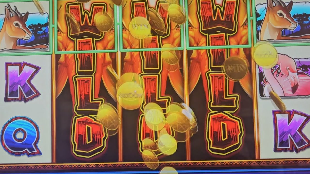 Sunset Tusk big line hit, with bonuses at Max bet