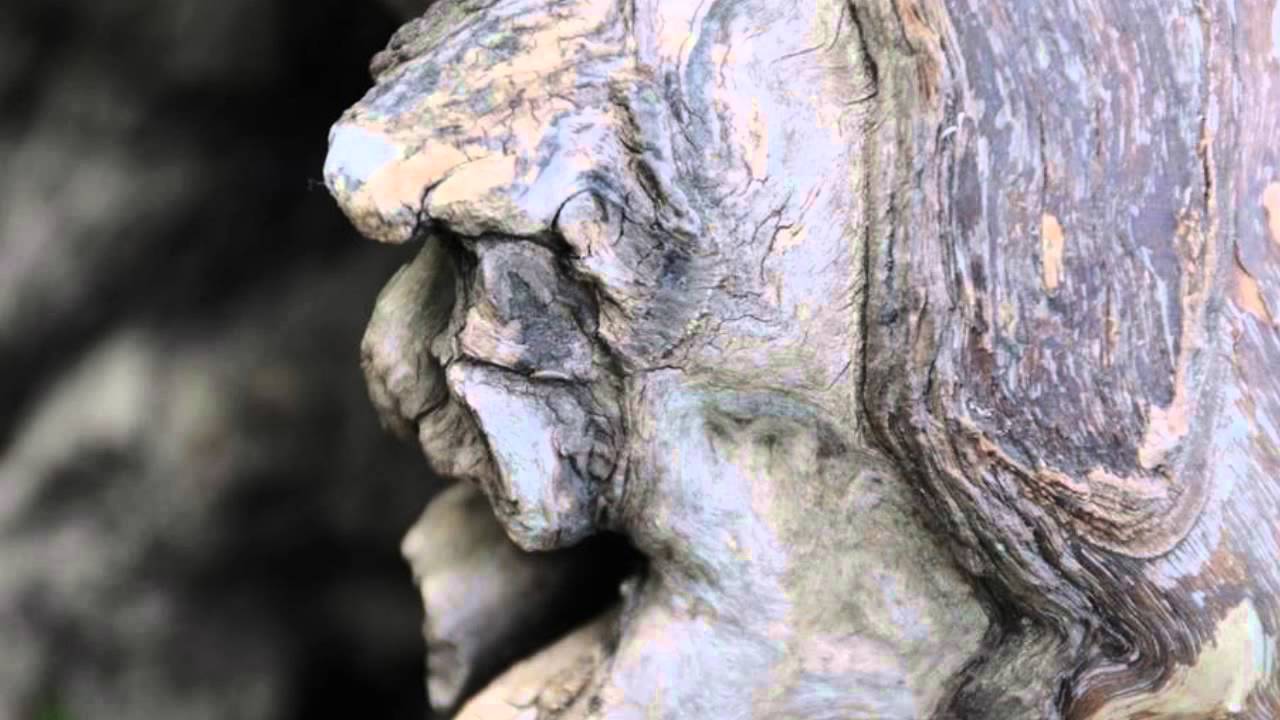 Sarita - Dancing with the Trees of Love