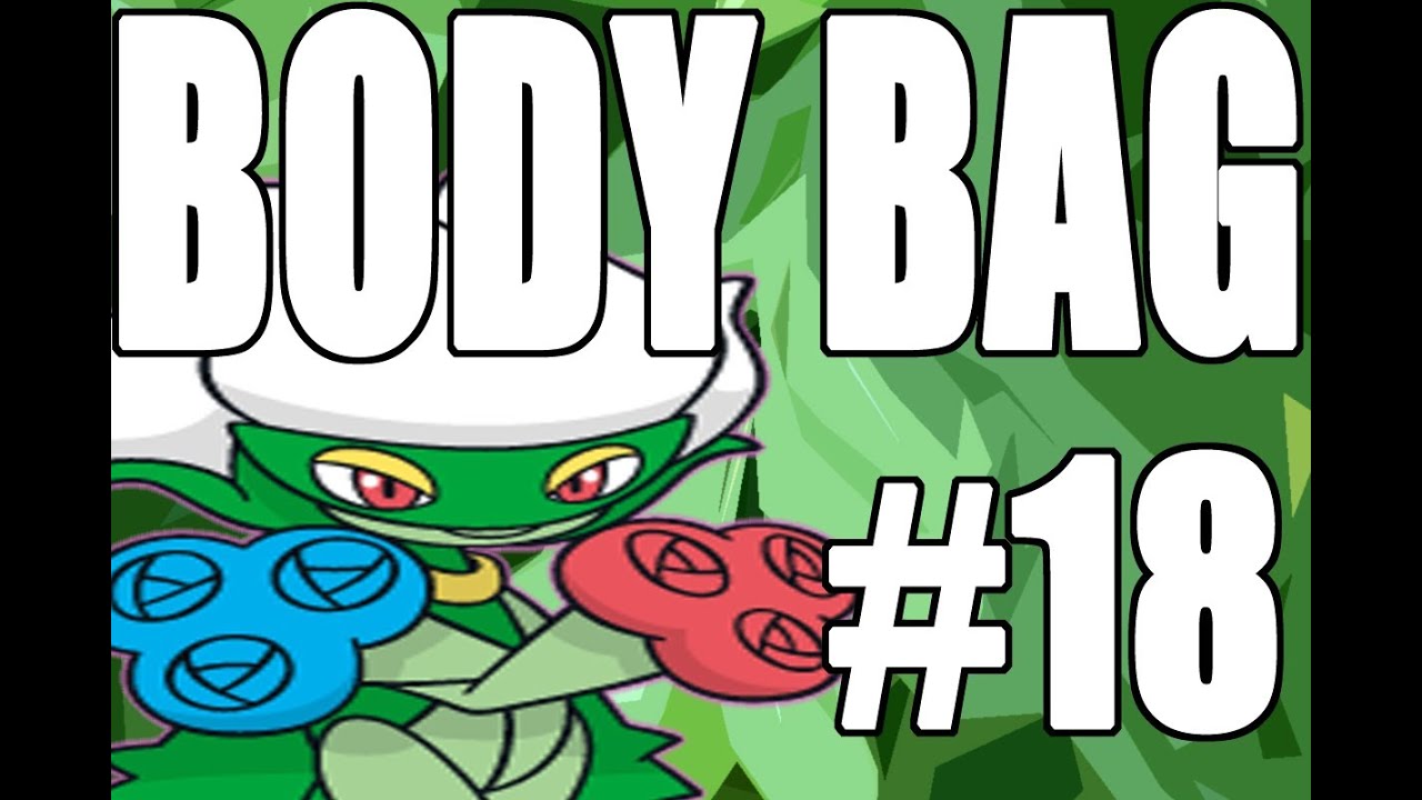 Pokemon Black & White Wi-Fi Battle: BODY BAG #18