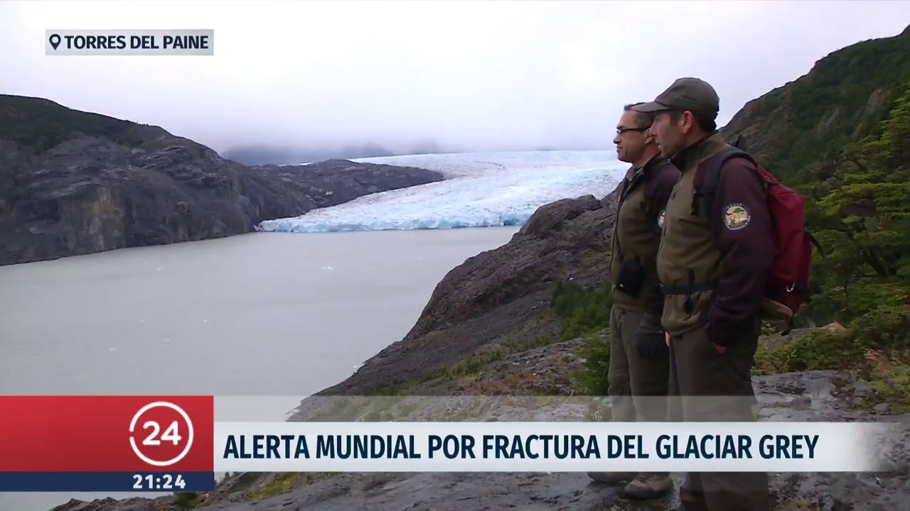 Alerta mundial por desprendimiento de glaciar Grey | 24 Horas TVN Chile