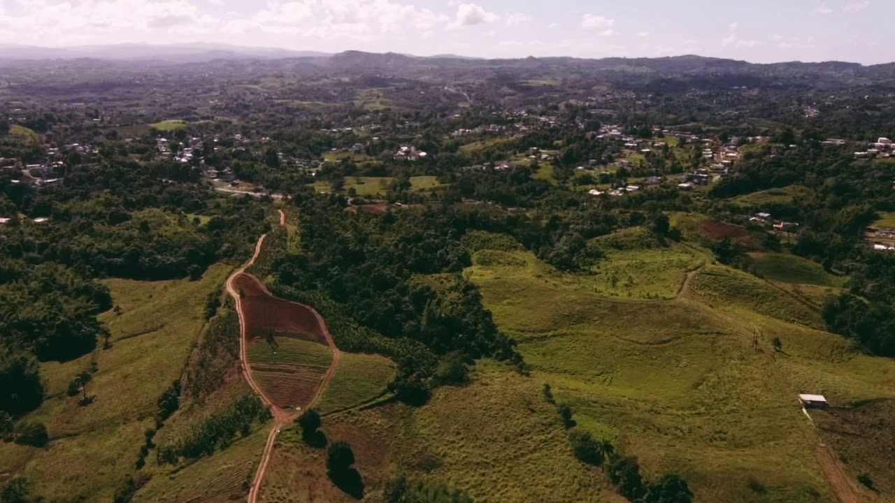 Paisajes de mi pueblo en Moca, P.R 🇵🇷