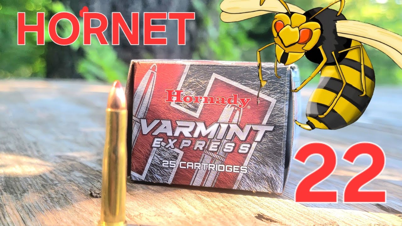 22 Hornet Has it been forgotten