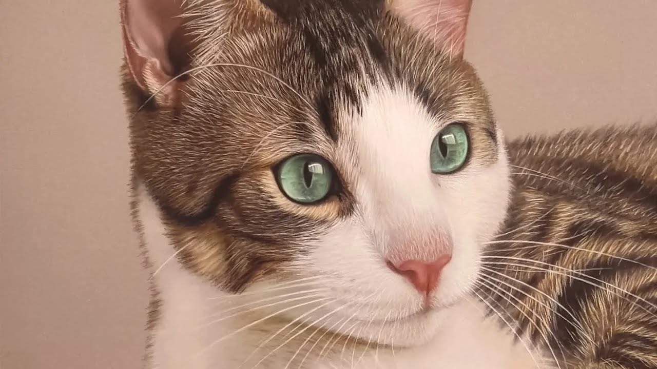 Quito 😻 Dibujo a pastel