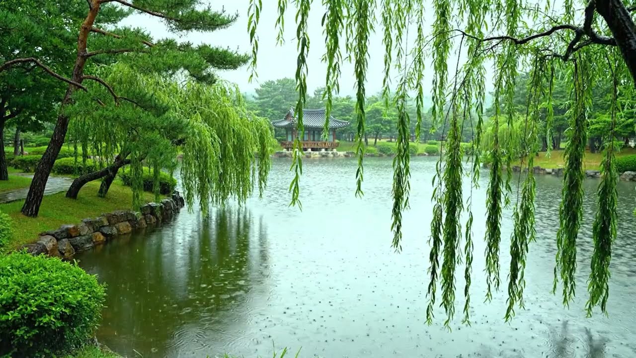 Gentle Rain on Calm Pond for Deep Sleep | Relaxing ASMR Nature Rain