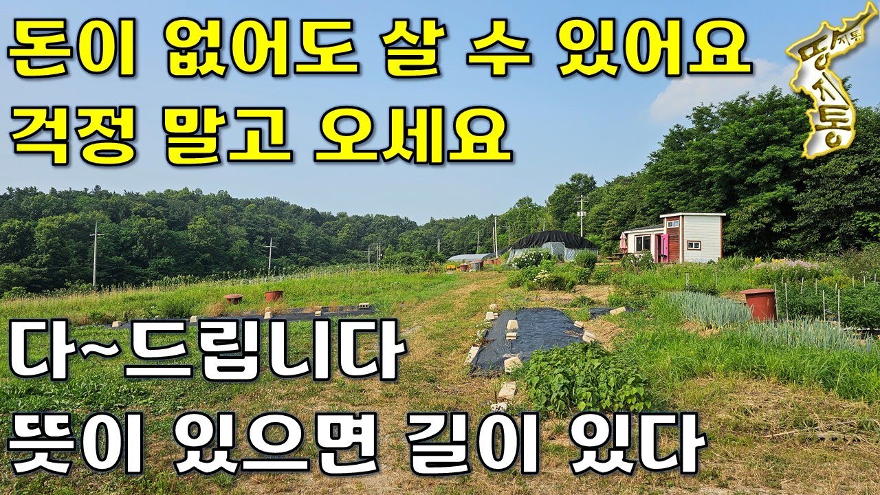 (계약완료)뜻이 있으면 길이 있다~돈이 없어도 살 수 있어요 땅4,573평+농막+하우스[땅지통]