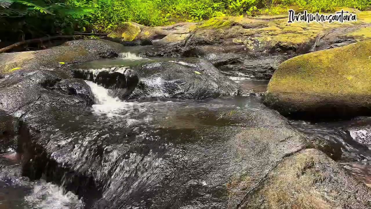 Enjoy the sound of flowing water on the rocks for a better day , the birds chirping, ASMR, Nature