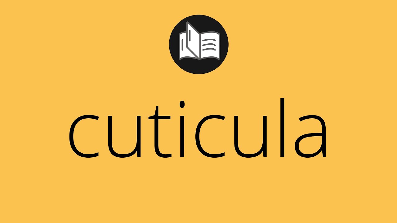 Que significa CUTICULA &bull; cuticula SIGNIFICADO &bull; cuticula DEFINICI&Oacute;N &bull; Que es CUTICULA