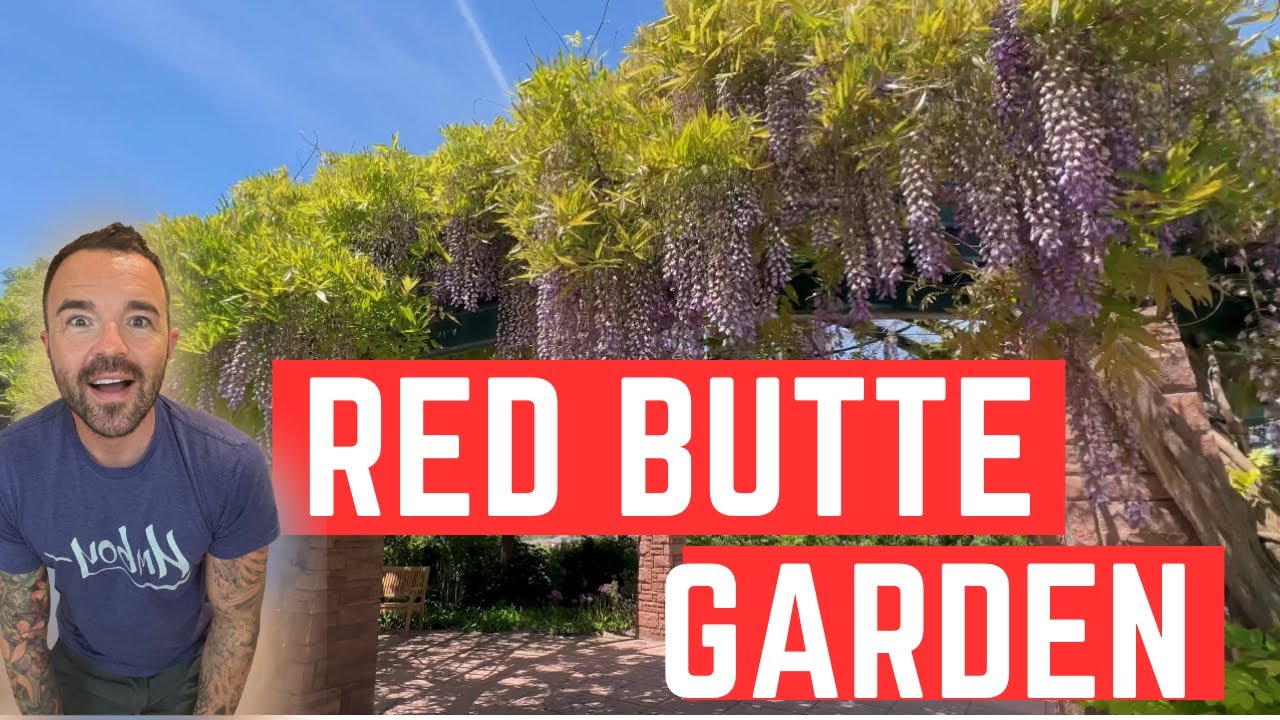 Red Butte Garden and Arboretum: Full Spring Bloom #utah #slc