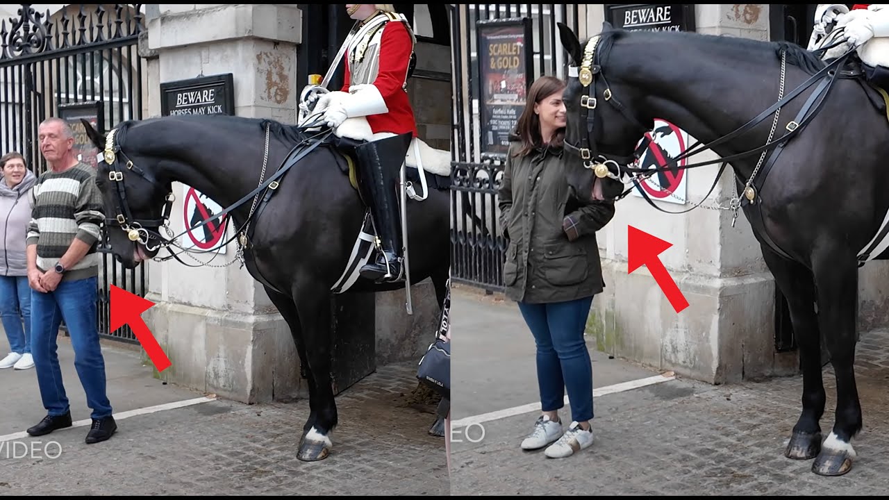 TOO Close to the King's Horse!! OUTSIDE THE WHITE LINE PLEASE!! Guard confronts them‼️