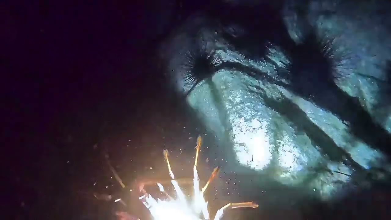 南加州龙虾故事｜S1.E16｜卡岛｜两只大龙虾