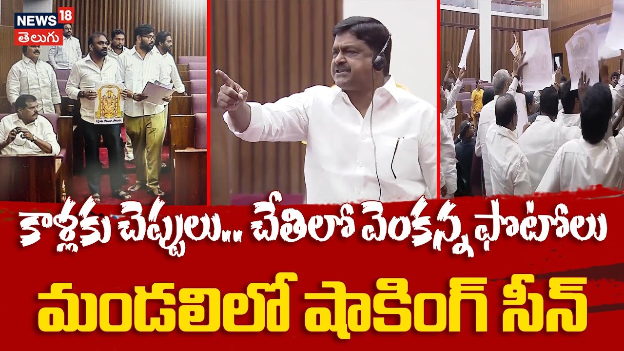 YSRCP MLCs Accused of Hurting Hindu Sentiments | సభలో దేవుడి ఫొటోలతో వైసీపీ నిరసన.. | N18V