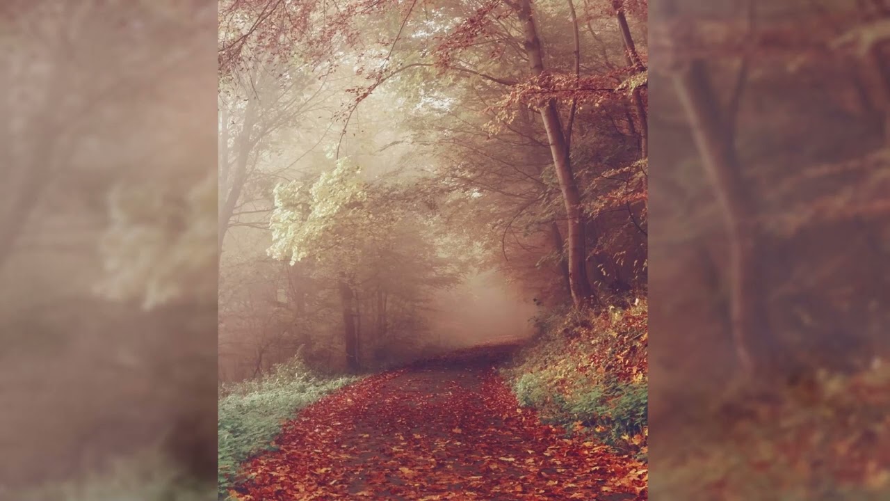 [FREE FOR PROFIT] sad indie x alternative rock type beat 