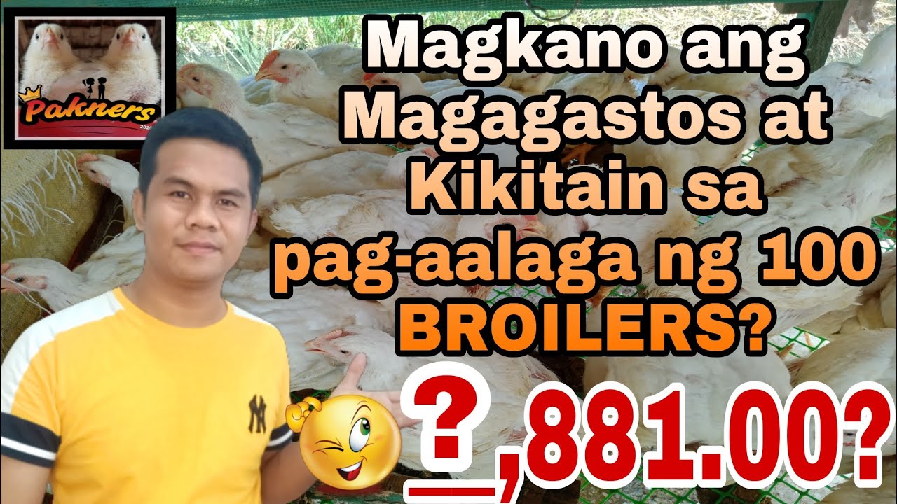 MAGKANO ANG PUHUNAN,  GASTOS AT KIKITAIN SA PAG-AALAGA NG 100 HEADS BROILERS/45 DAYS NA MANOK?