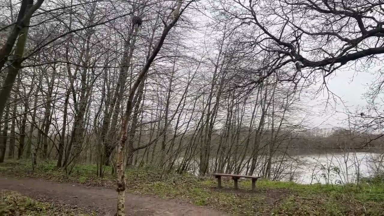 Winter walk around Millennium Lake | North Hykeham