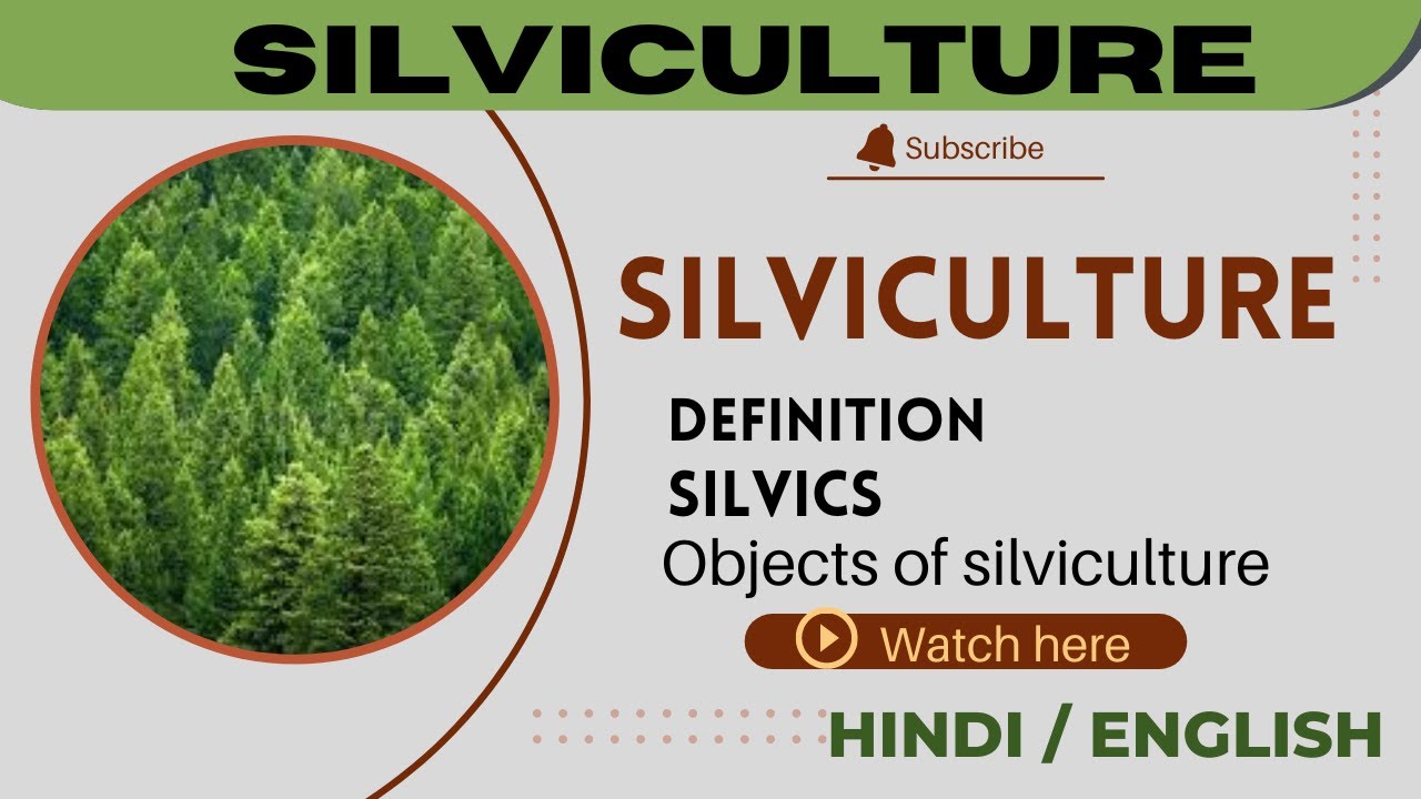 Definition of silviculture || objects of silviculture ||