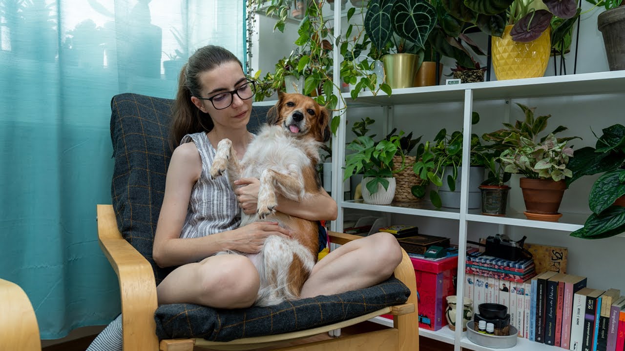 Are 170 de plante, două pisici și un cățel, în două camere | Plantele din interior | Lovedeco