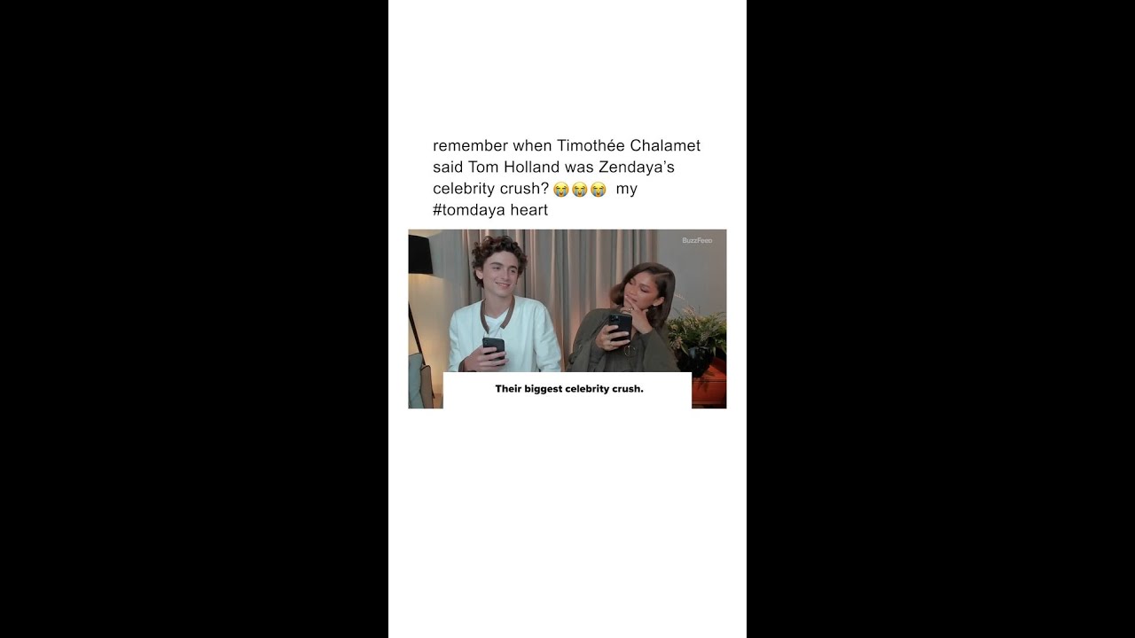 Remember when Timoth&eacute;e Chalamet confirmed #tomdaya? 🥹 #zendaya #shorts