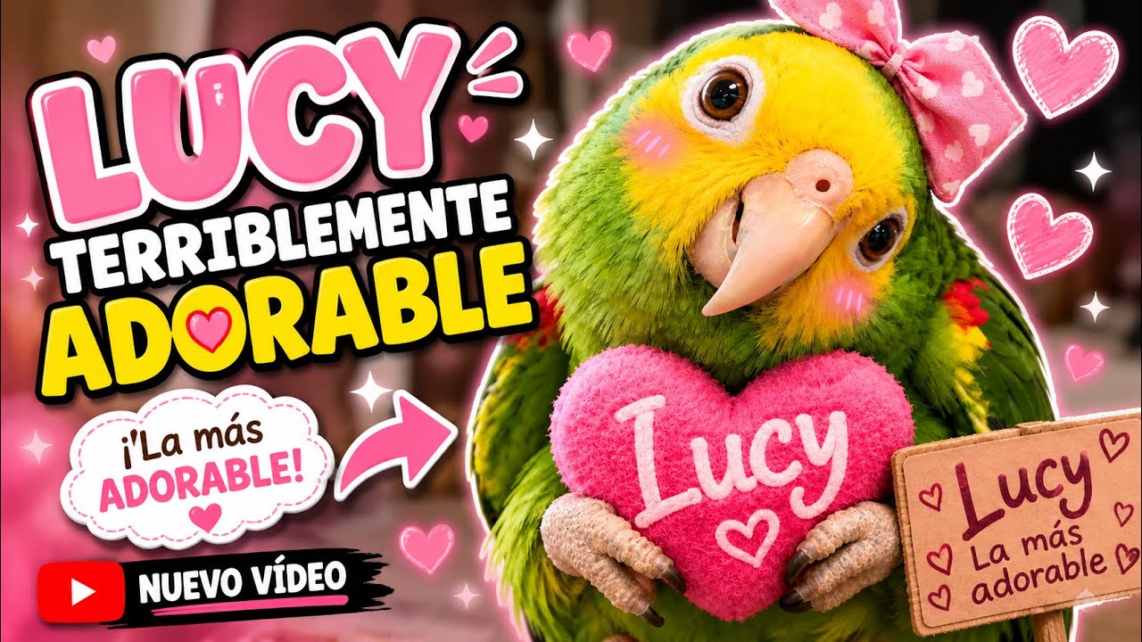 Y como es Lucy 😇🙃
