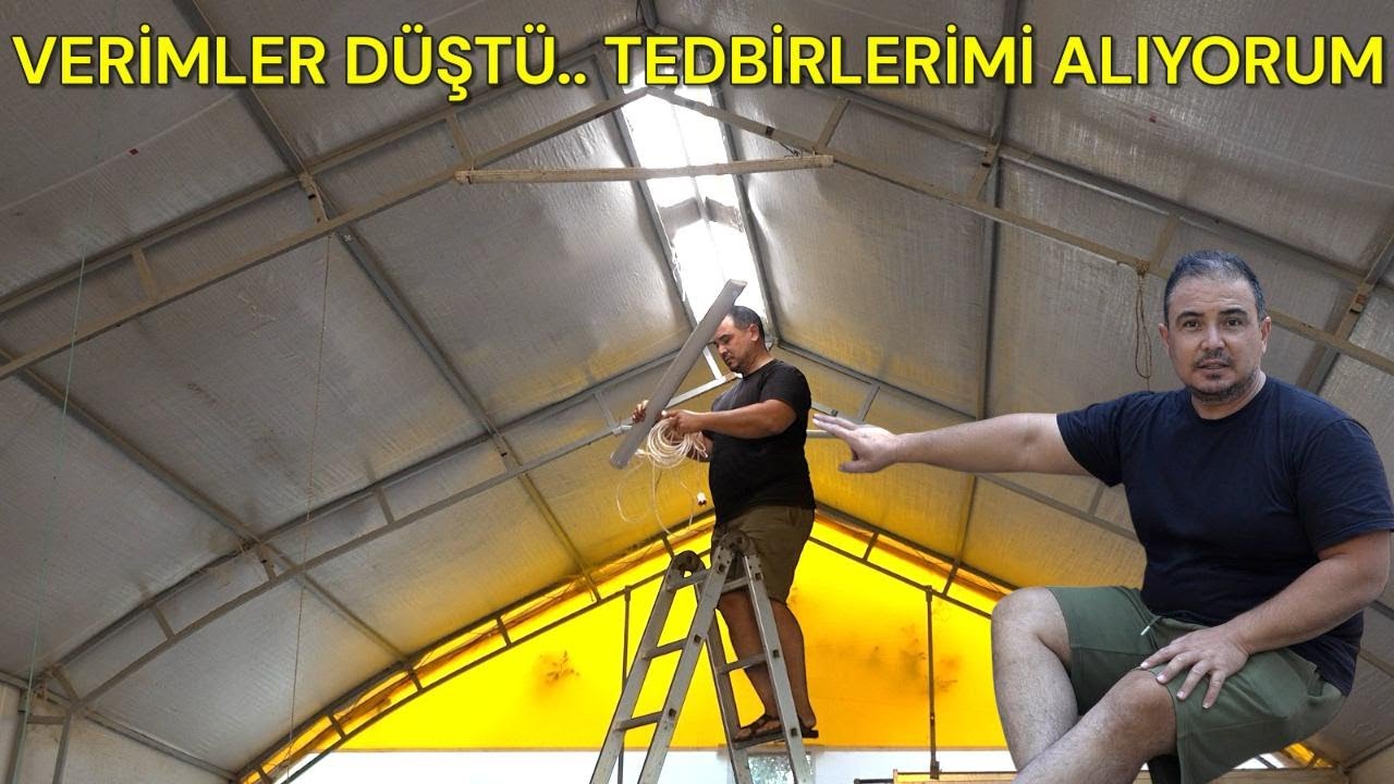 YUMURTA VERİMLERİMİZ DÜŞTÜ./GEREKLİ MÜDEHALELERİ ÇADIRA NASIL UYGULADIM..??